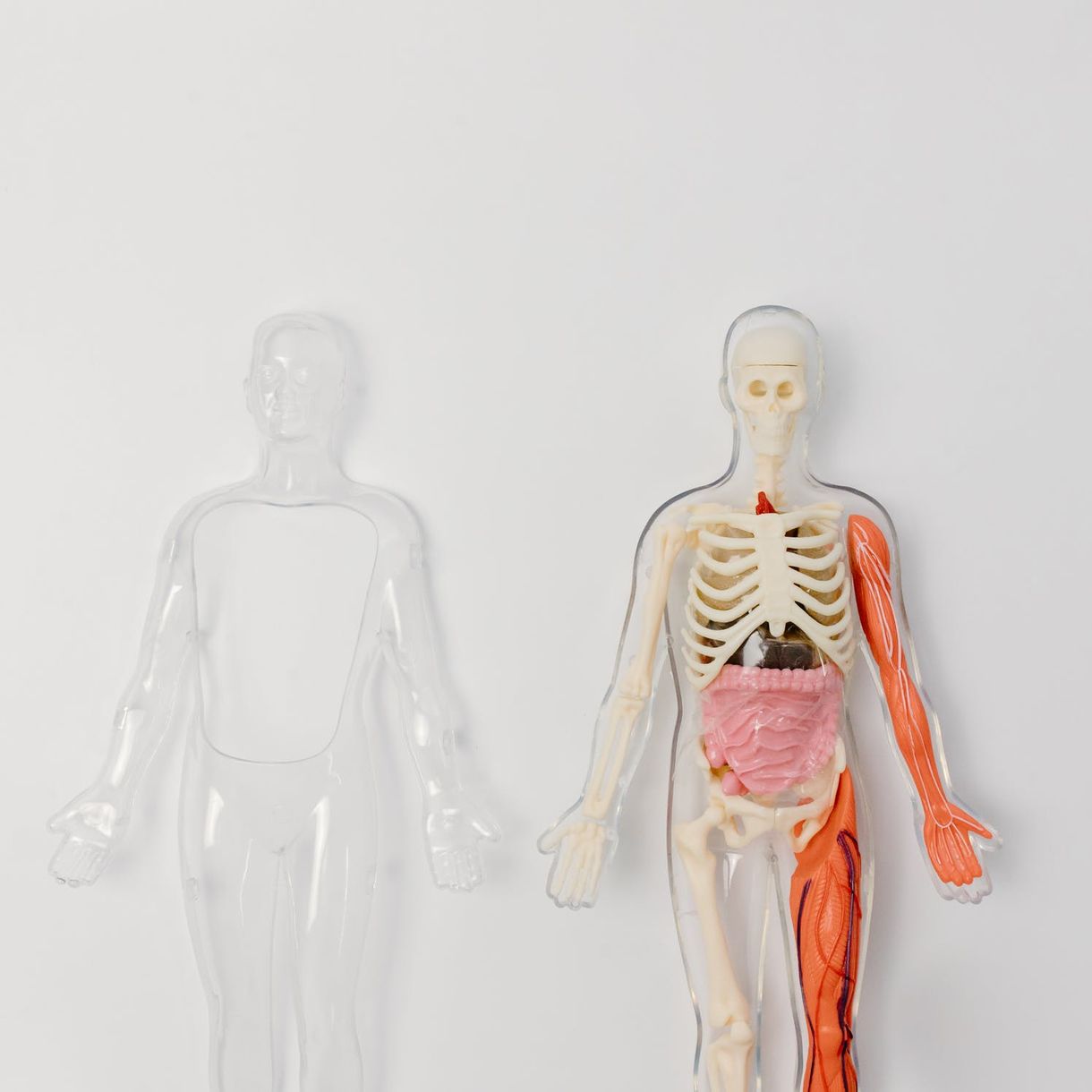 Dr. med. Matthias Urban, Lungenfunktion, Allergologie, Bronchoskopie, Onkologie, EKG, Labor, Ärztehaus, in guten Händen